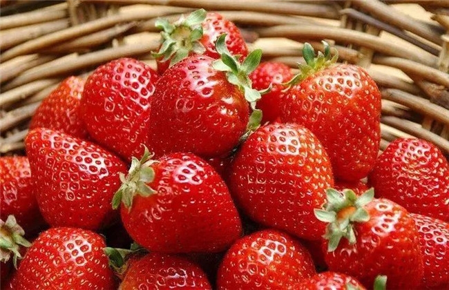 “莓”好生活，与你相约 | 建业·龙城府喊你领草莓啦！！！
