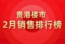 贵港2月成交量环比上涨近八成，成交均价5684元/㎡，雅庭名列榜首。