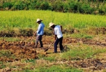 春耕进行时！永州2021最新粮食生产补贴、耕地保护政策看过来→