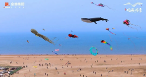 威海首届湾海风筝艺术节圆满落幕!带你领略N种湾海生活方式!