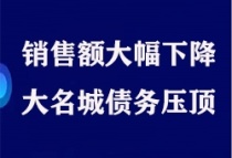 资色·深度丨销售额大幅下降大名城债务压顶