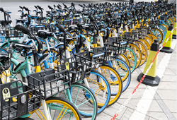 216个站点！海宁公共自行车实现城铁沿线全覆盖