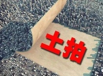 武汉集中供地：首日31宗地成交401.6亿 新城景瑞均有收获