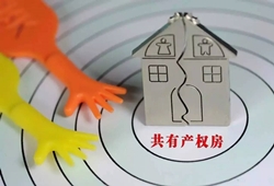 南京共有产权保障性住房第一次购房满5年可买卖