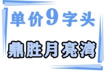 鼎胜月亮湾单价9字头！居然还在文昌月亮湾区……我又敢买房了