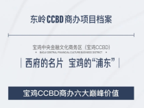 东岭|CCBD核心商圈商务办公，进驻203米超高层，与500强企业为邻