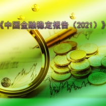 《中国金融稳定报告（2021）》