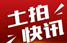 武汉第二轮集中供地，黄陂、洪山、硚口……地块解析！