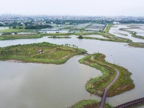 央媒关注 | 海口江东新区迈雅河区域生态修复项目一期完工