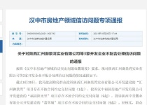 汉中3家楼盘不按合同约定交付 政府通报！