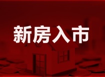 预售：进入11月黄冈，城区两大房企入市354套房源，备战双十一!