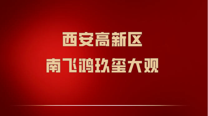 西安高新南飞鸿玖玺大观好吗?