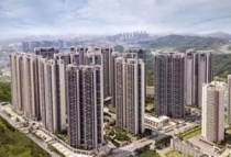 付凌晖：国内经济保持稳定恢复 房地产市场平稳发展