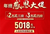 大汉30年,年终感恩大促！工资3000也能买到双学府网红盘