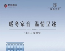 暖冬家音 温情呈递|非凡·璞禵公馆11月工程进度播报