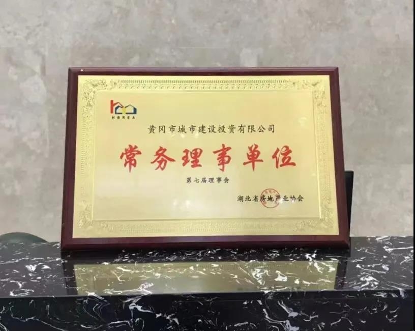 黄冈市城投公司当选为湖北省房地产业协会常务理事单位
