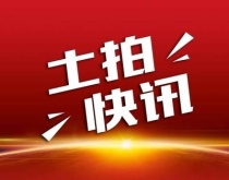 安陆市国有建设用地使用权拍卖出让公告（安土拍202201号）