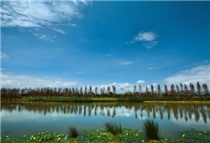 俊发生态半岛 面向滇池 享优质生态 125-158㎡品质户型在售中！