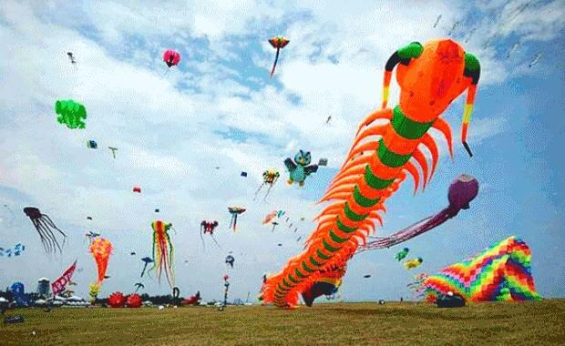 绝美！鄂尔多斯首届大型风筝节轰动全城！千只风筝全城免费送！