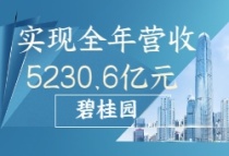【碧桂园|实现全年营收5230.6亿元，在城镇化中成长在城镇化中精进】