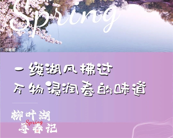 金恒·柳玥臺丨湖风拂过，万物浸润春的味道