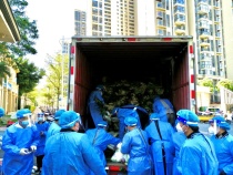 30吨蔬菜5000份 36小时内送出 这家物业执行力牛