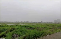 土地热线 | 上海第三批集中供地首日落槌 合肥7地收金49.55亿