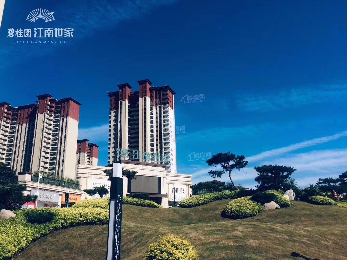 投资未来置业南京东丨碧桂园·江南世家出售高层95-145㎡宽景房