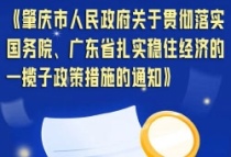 重磅！肇庆出台稳经济政策“133条”！带你一图读懂！