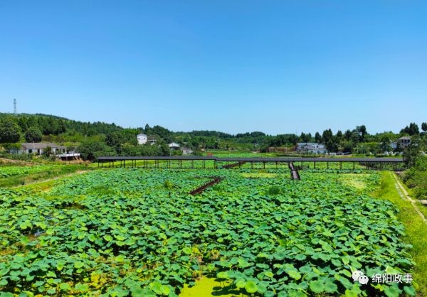 涪城“湖光山色”稻渔亲水湿地农业主题公园，正式开园！