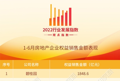 2022年1-6月房地产企业销售表现·观点月度指数