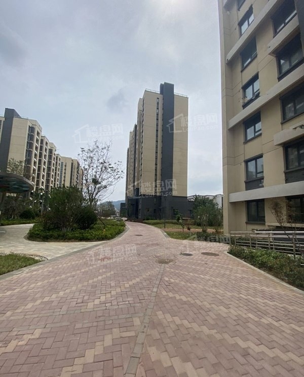 烟台大栖地——定位世界语境下的美学生活样本-烟台楼盘网