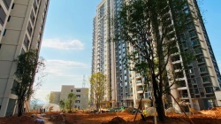 西安：存量住房被纳入保障租赁房管理后 家庭新增一套购房资格