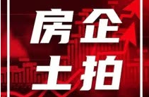 28.8亿元！镜湖区滨江公园周边地块（2224号宗地）成功出让！