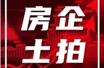芜湖交投置业有限公司成功竞得2225号宗地！