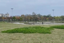 顺庆67亩“王炸”地块实探 | 紧邻购物中心、城市公园，已有开发商表达意向