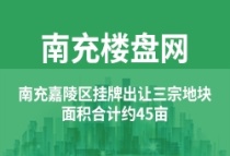 南充嘉陵区挂牌出让三宗地块，面积合计约45亩