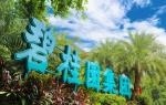 碧桂园首月实现权益合约销售金额约220.1亿元