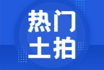 杭州首轮土地拍卖落幕：收金近90亿元，有央企曲线拿地丨一线