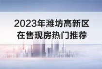 2023年潍坊高新区在售现房热门推荐