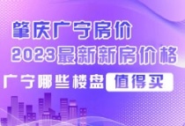 肇庆广宁房价2023最新新房价格，广宁哪些楼盘值得买