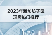 2023年潍坊坊子区现房热门推荐