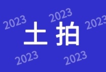 166亿！华润置地+长隆联合体斩获番禺宅地 有惊无险