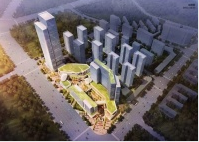 打造粤港澳大湾区国际消费枢纽 推进新型城镇化建设