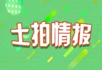 湘潭市高新区高新路交幸福路西北角(潭市高管公土网挂（2023）007号)挂牌出让公告