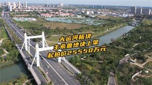 大运河板块王希鲁地块上架 起拍价2.555亿元