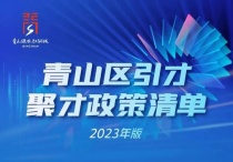 放大招！买房专享5万元购房补贴！青山区发布引才聚才政策清单