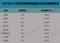 16765套！2023年12月武汉楼市成绩单“出炉”！