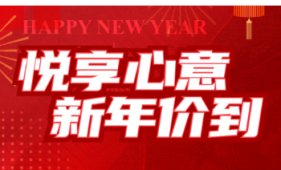 市府东安庆金大地·天元府首期2万起入住