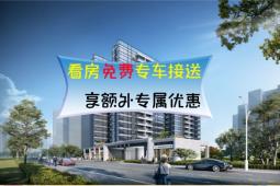 肇庆市高要2024年秋季小学一年级公办学校这样招生...